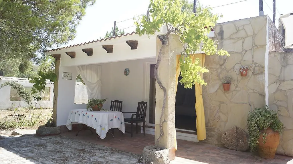 El Campus Villa Alaior Spain